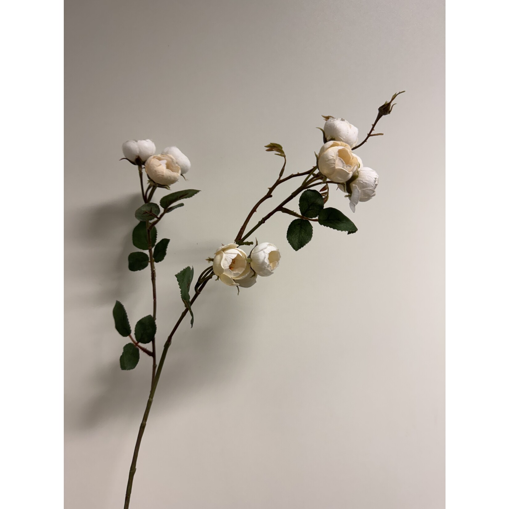 SPRAY ROSE BONICA | WHITE | 65 CM