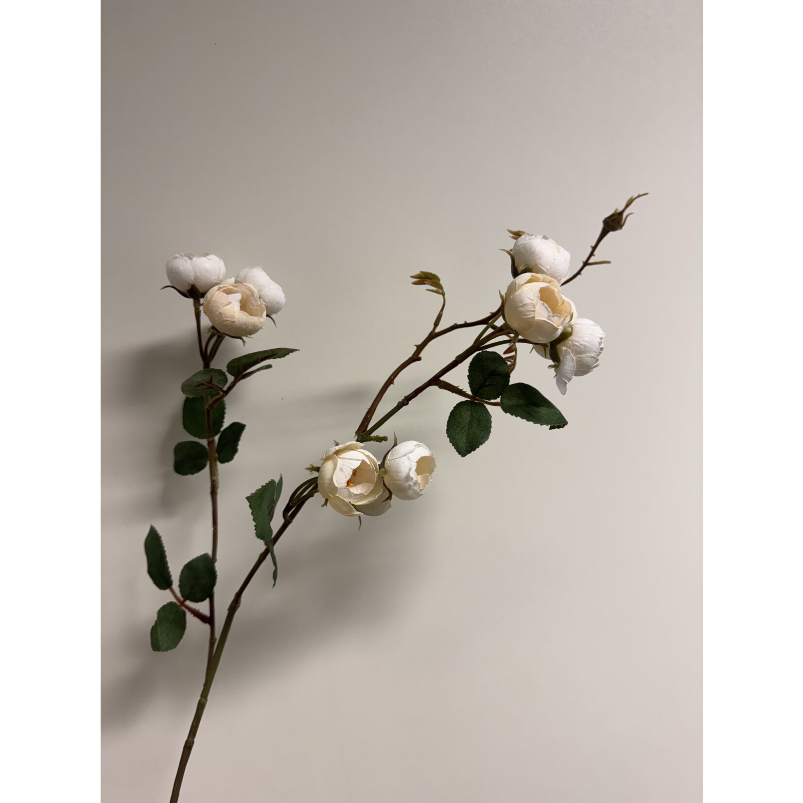 SPRAY ROSE BONICA | WHITE | 65 CM