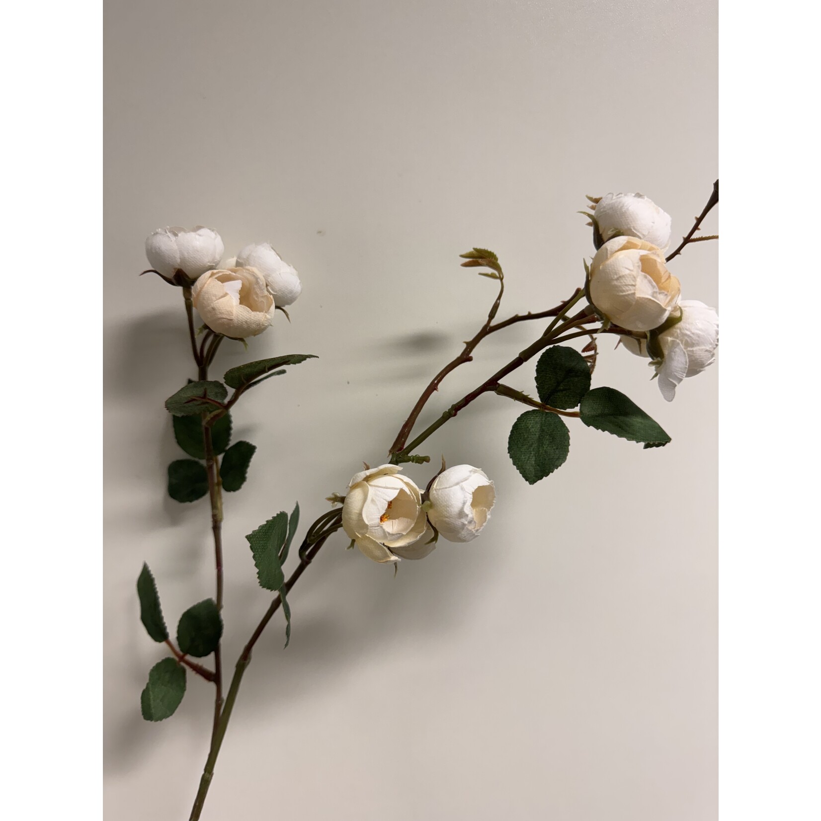 SPRAY ROSE BONICA | WHITE | 65 CM