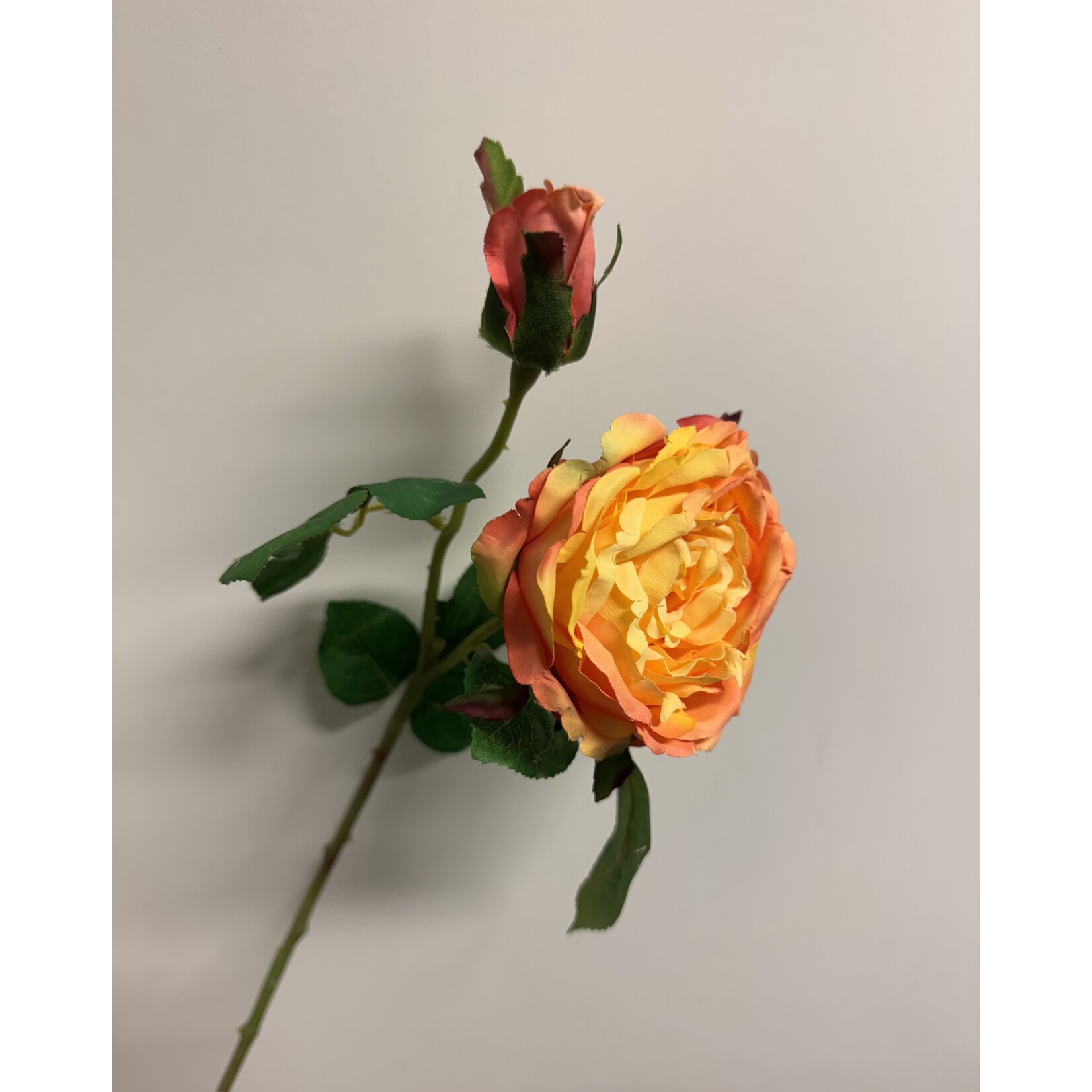 ROSE DOWN TOWN | ORANGE YELLOW | 45 CM