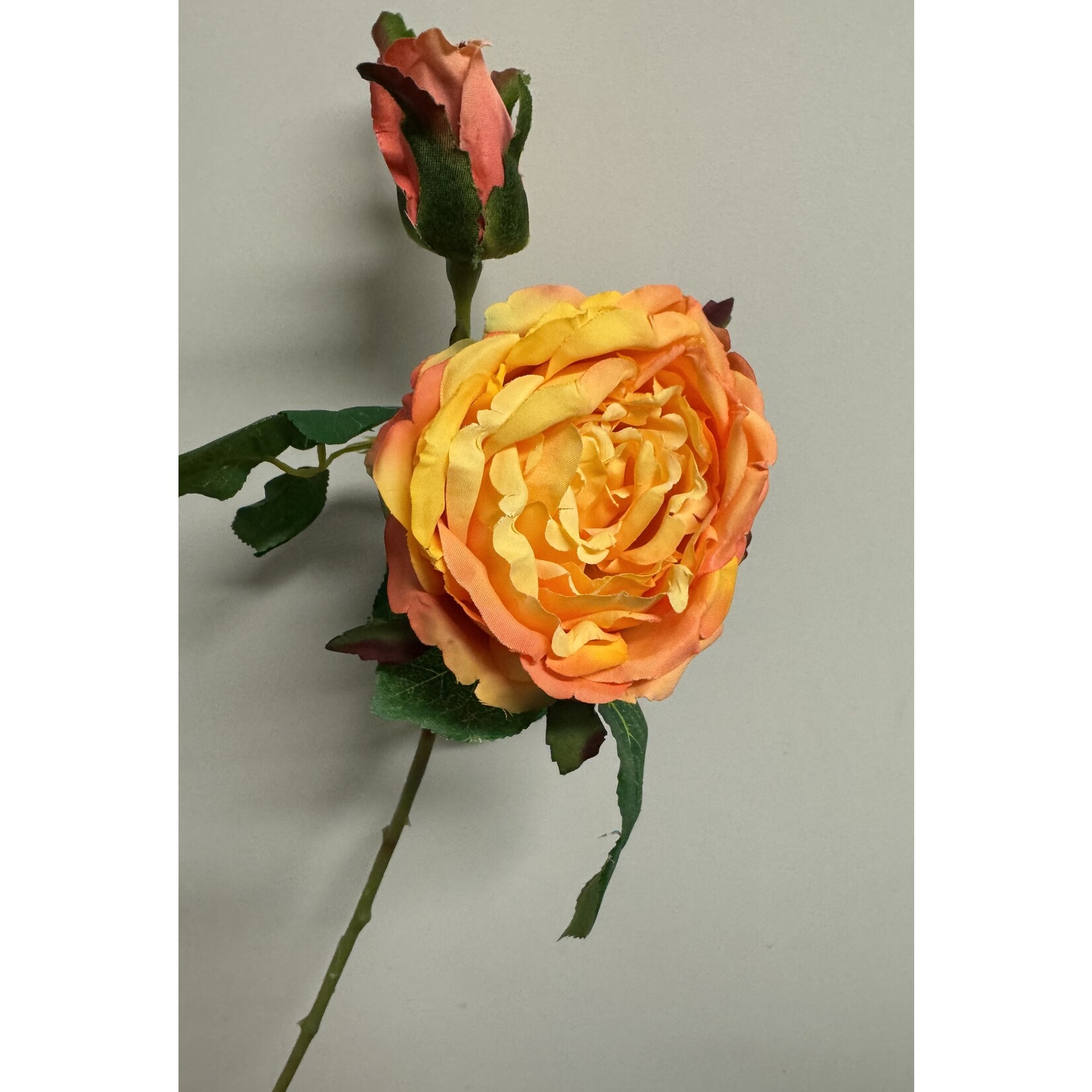 ROSE DOWN TOWN | ORANGE YELLOW | 45 CM