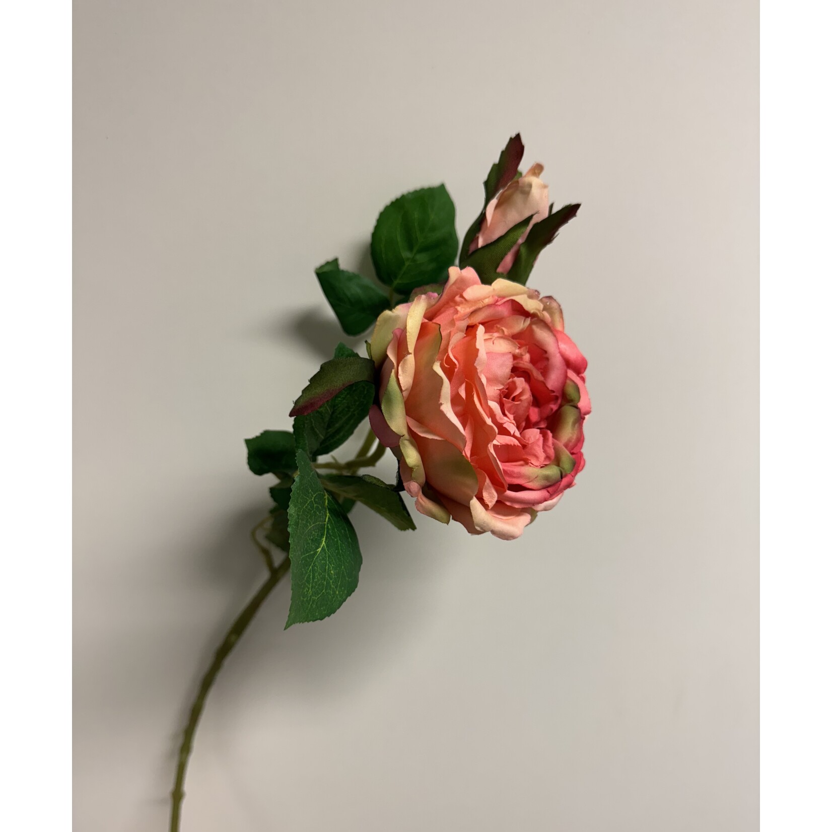 ROSE GREAT WESTERN | PINK | 45 CM