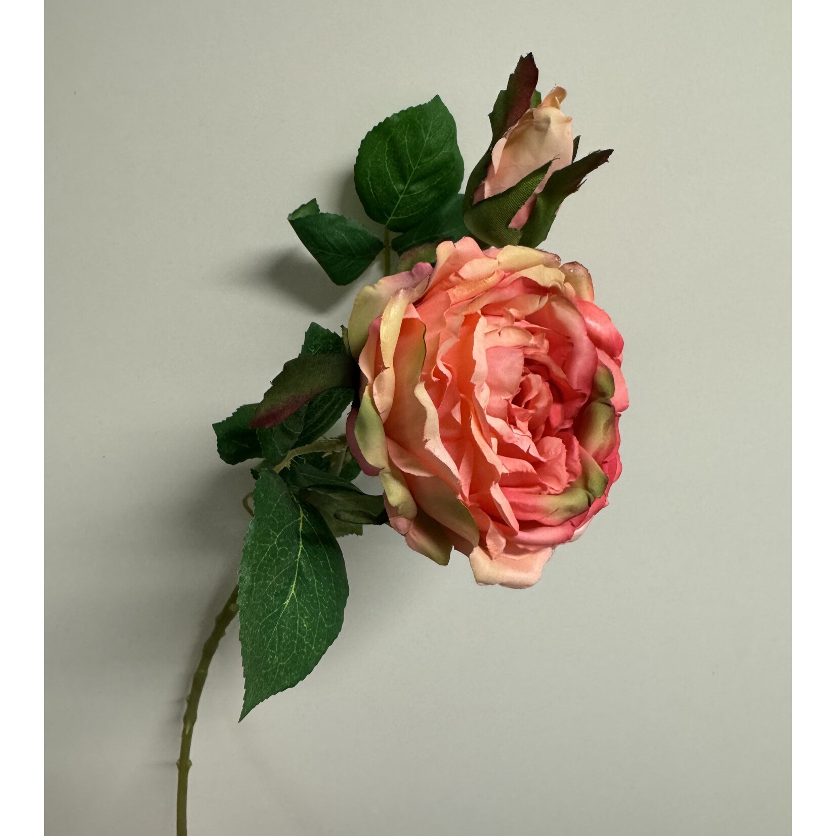 ROSE GREAT WESTERN | PINK | 45 CM