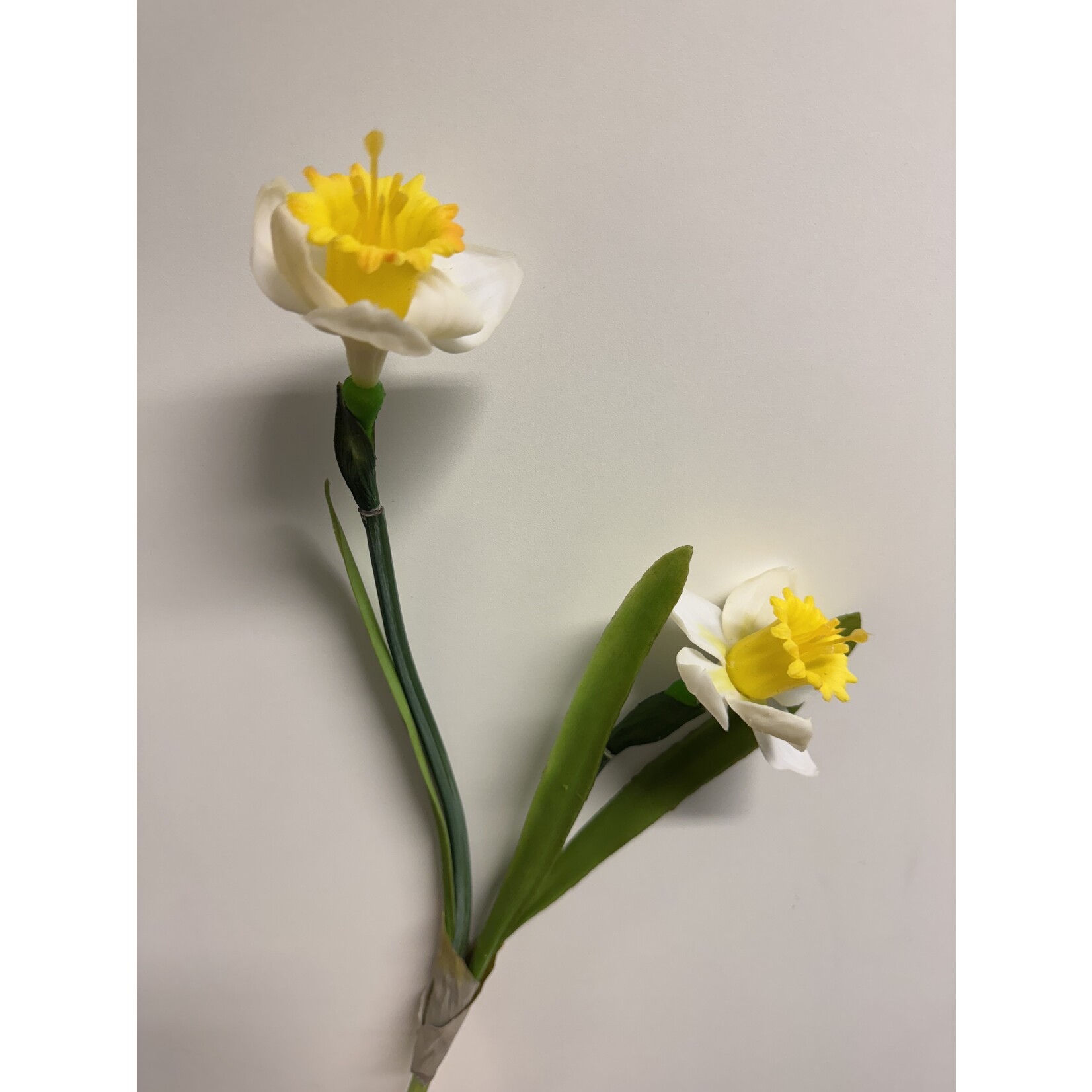 NARCISSUS | YELLOW WHITE | 43 CM