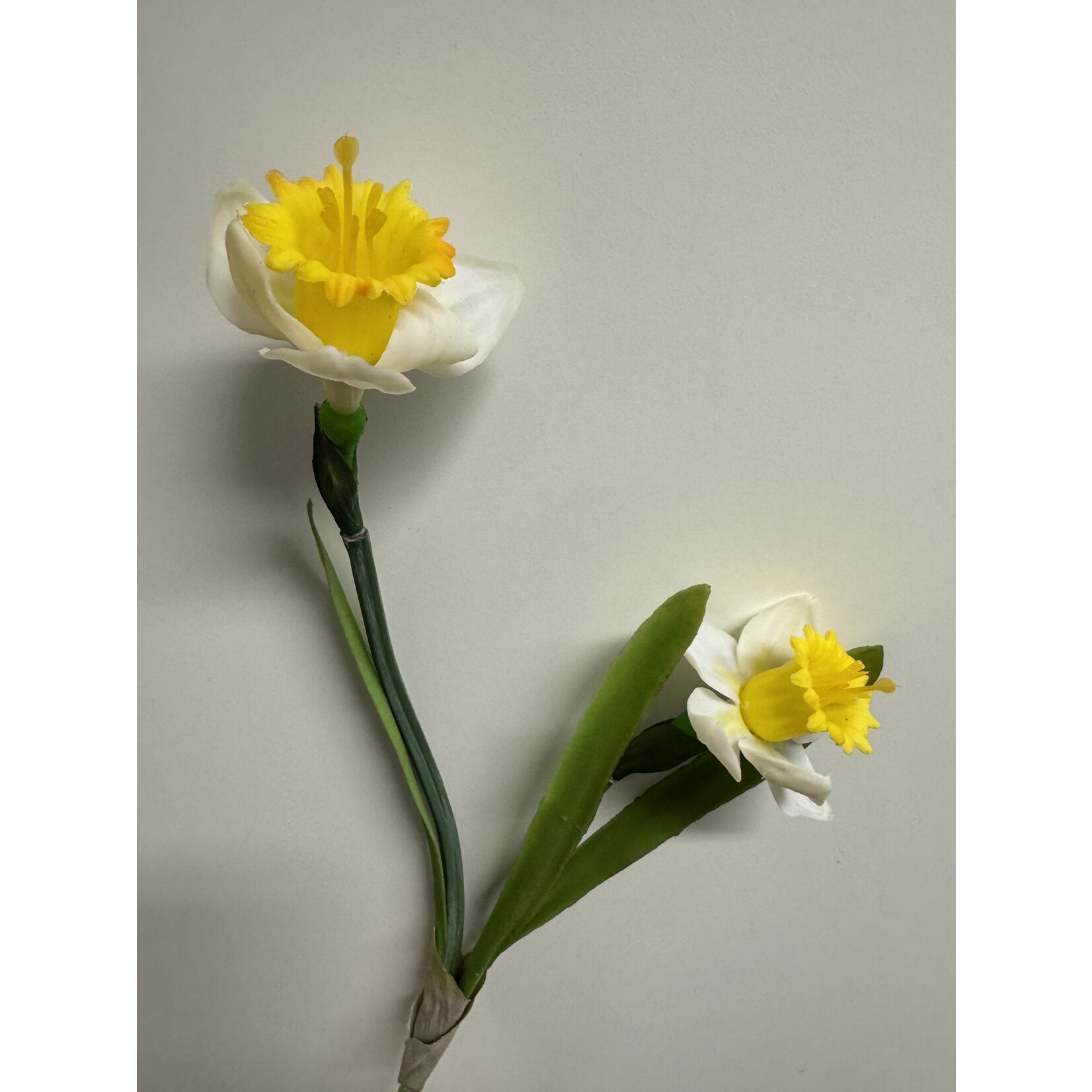 NARCISSUS | YELLOW WHITE | 43 CM