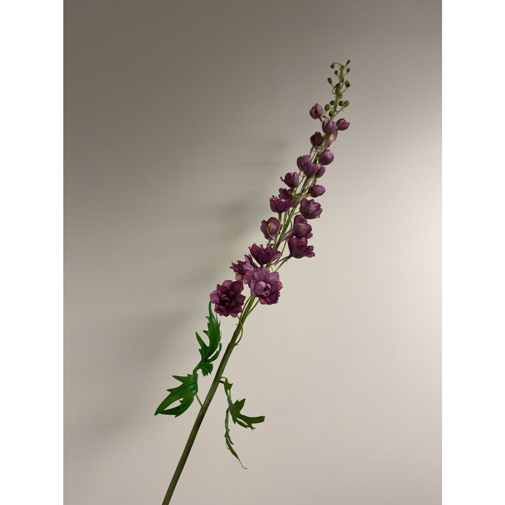 DELPHINIUM LILAC SPIRE | LILAC | 74 CM