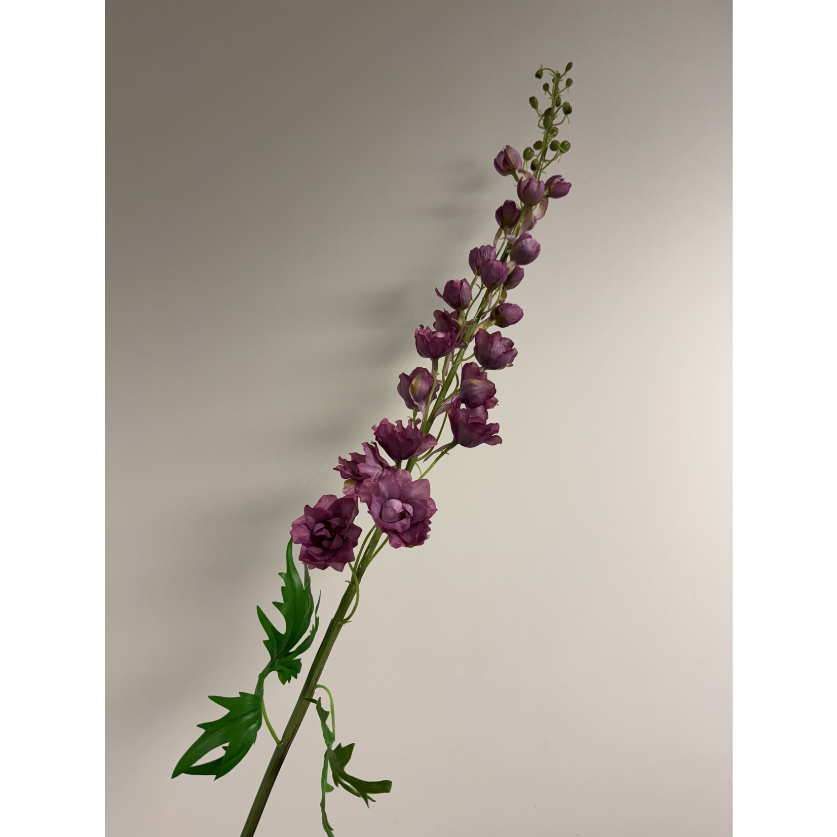 DELPHINIUM LILAC SPIRE | LILAC | 74 CM