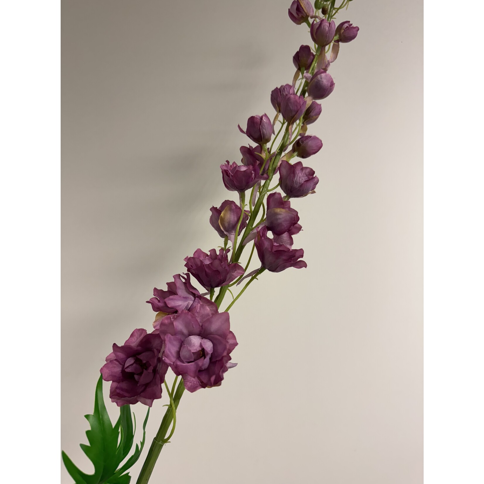 DELPHINIUM LILAC SPIRE | LILAC | 74 CM
