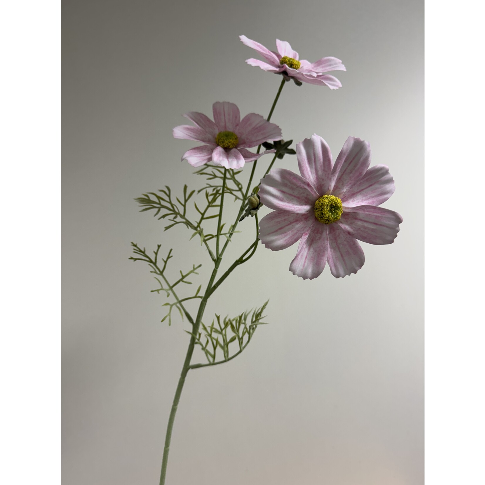 COSMOS COLARETTE | LIGHT PINK | 65 CM