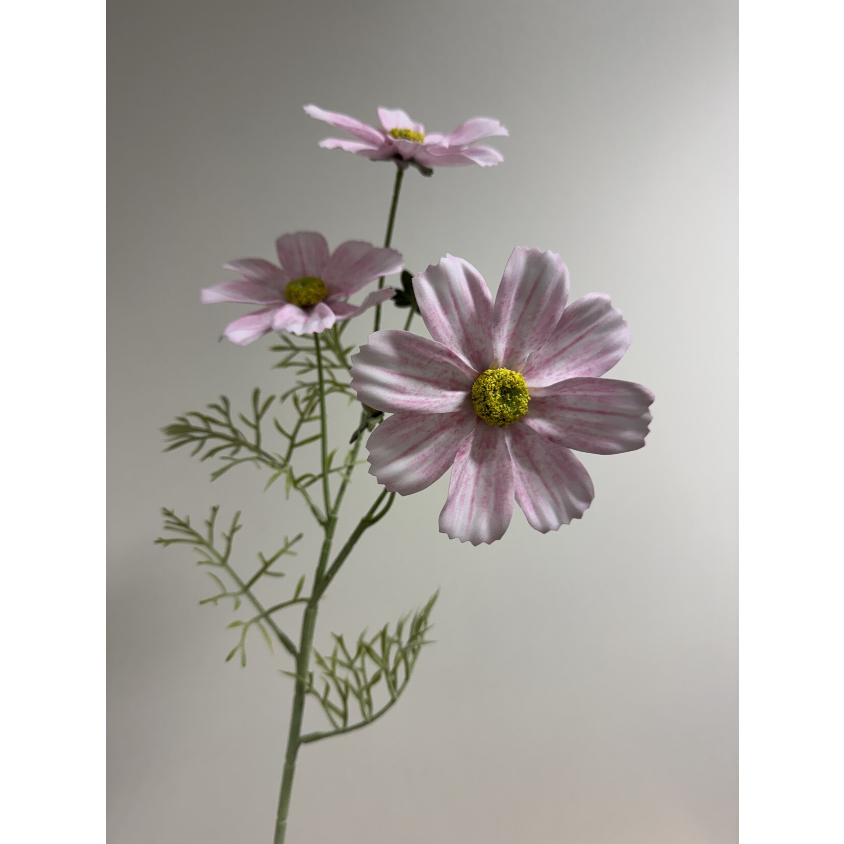 COSMOS COLARETTE | LIGHT PINK | 65 CM