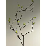 KRUL TAK MET BLAD | GROEN | 90 CM