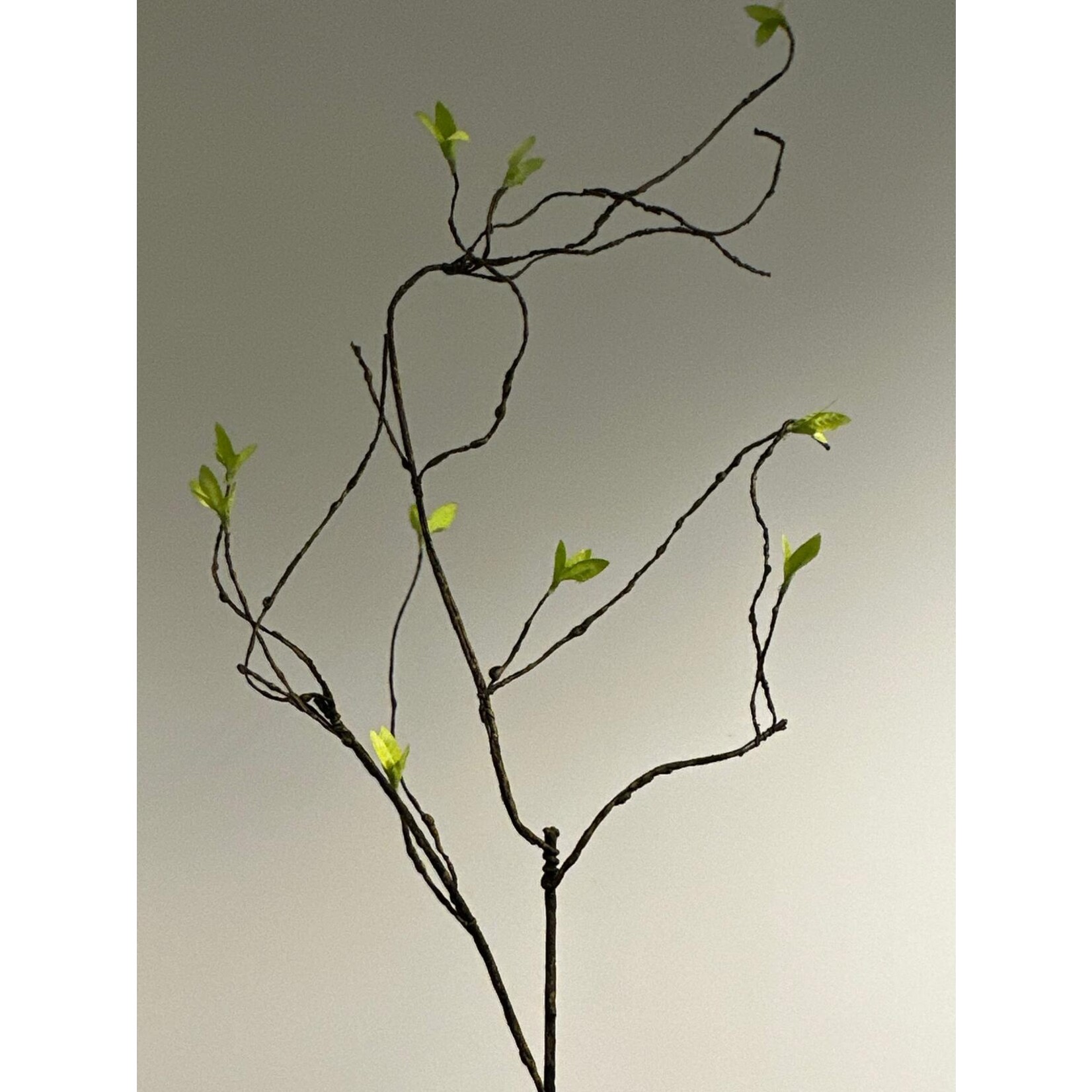KRUL TAK MET BLAD | GROEN | 90 CM