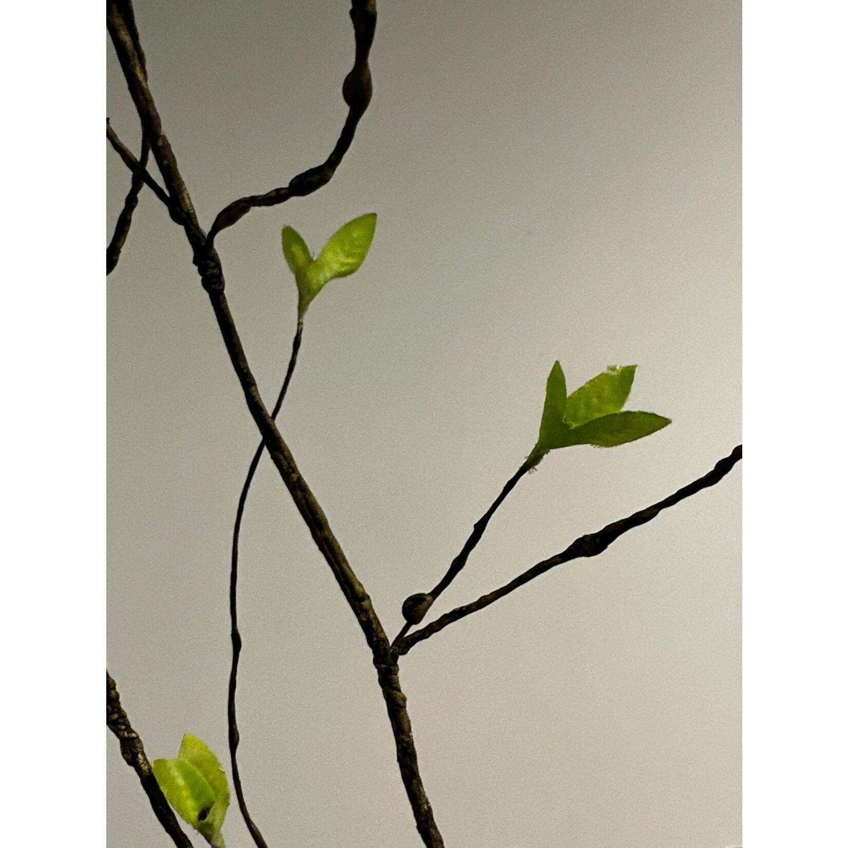 CULRY BRANCH WITH LEAVES | GREEN | 90 CM