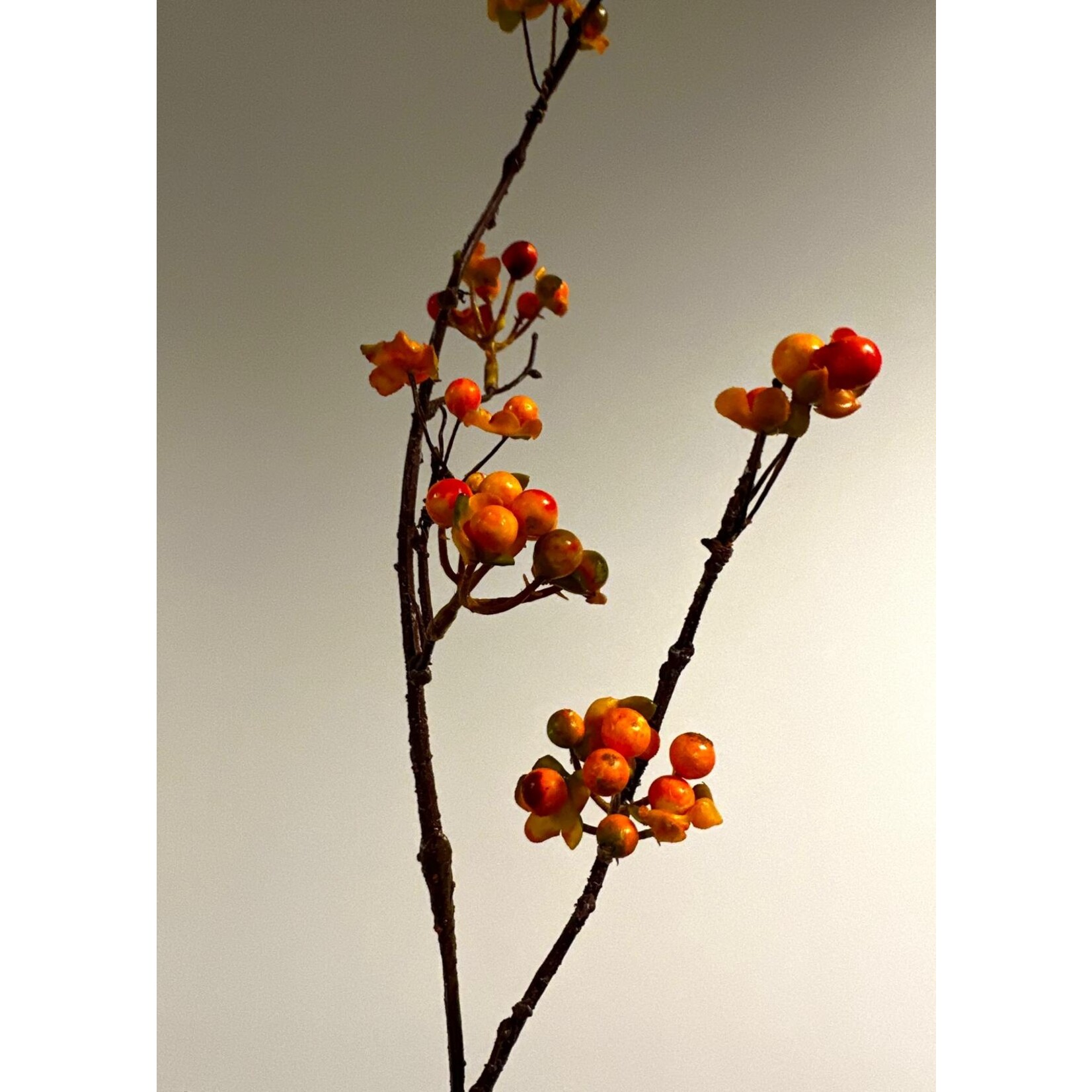 BESSENTAK ORIËNTAL | ORANJE |  86 CM