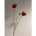 KLAPROOS X3 | ROOD | 74 CM