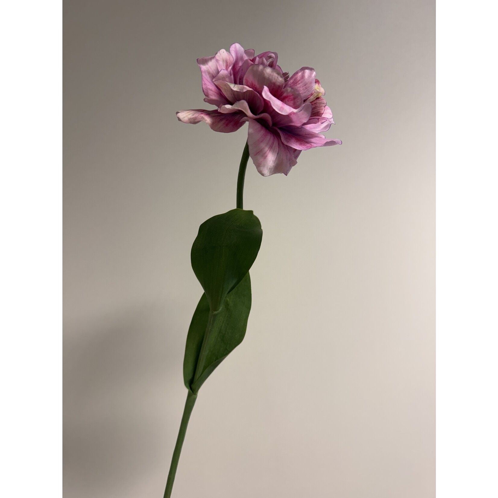 PARKIET TULP GREEN WAVE | ROZE | 64 CM