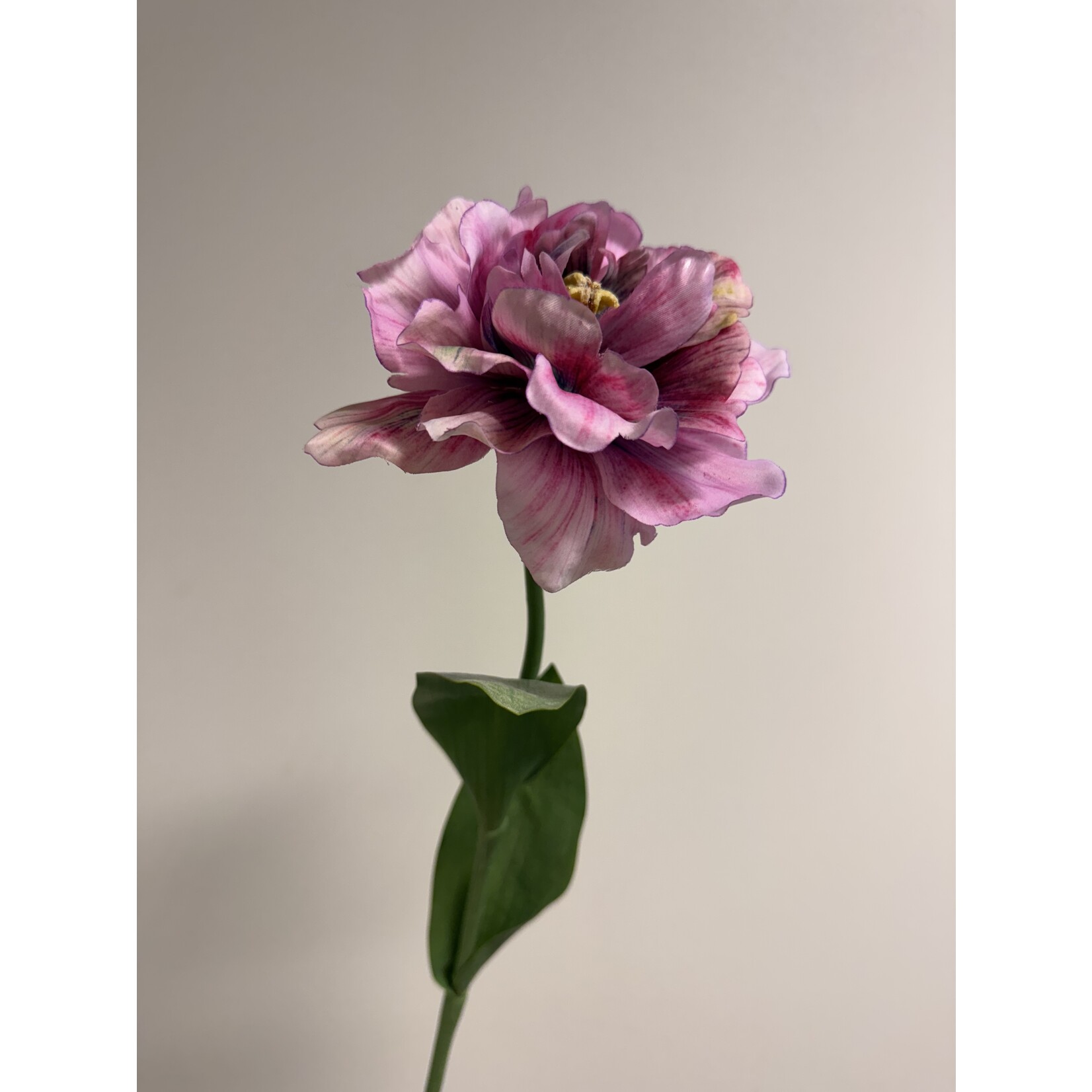 PARKIET TULP GREEN WAVE | ROZE | 64 CM