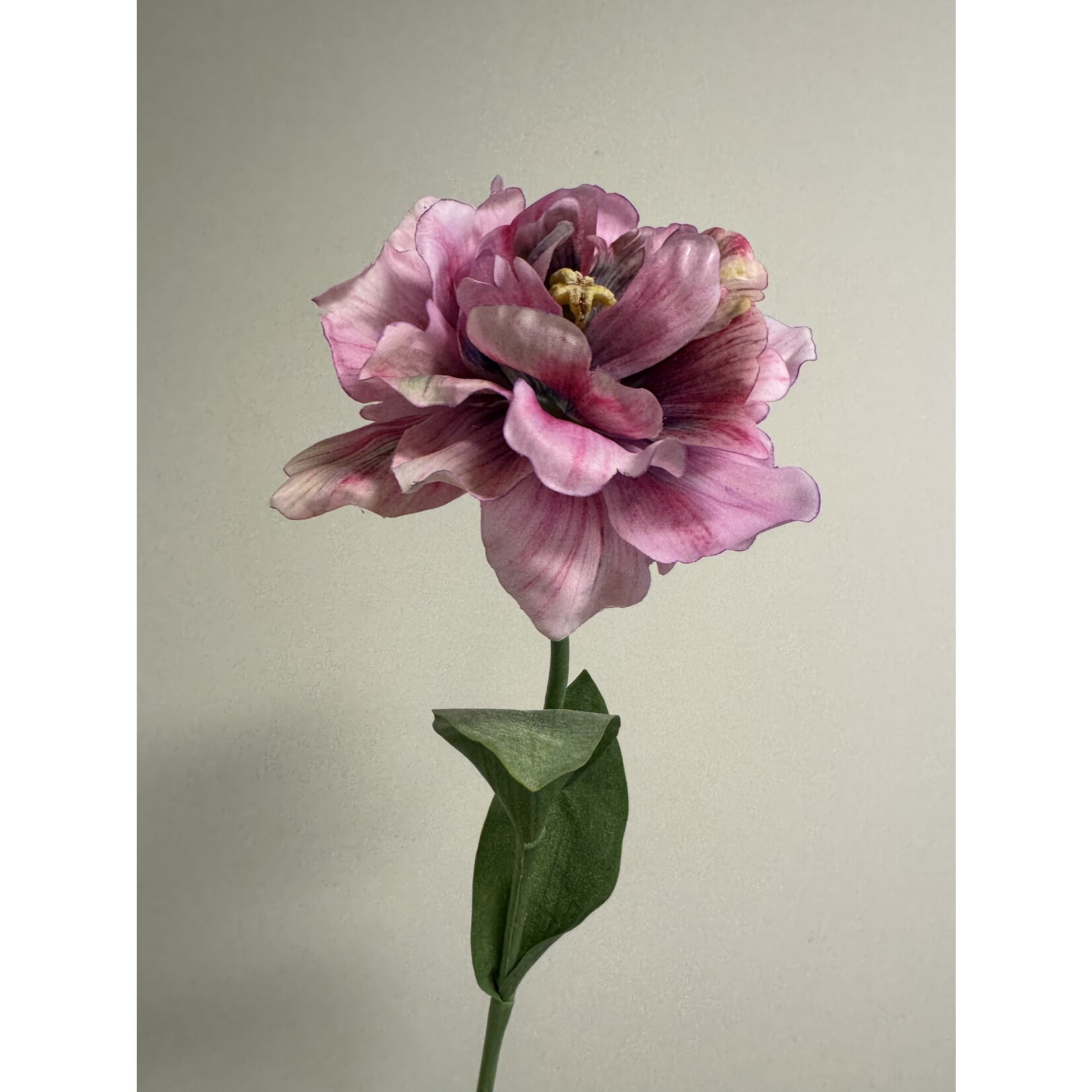 PARKIET TULP GREEN WAVE | ROZE | 64 CM
