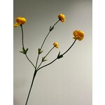 RANUNCULUS | YELLOW | 50 CM