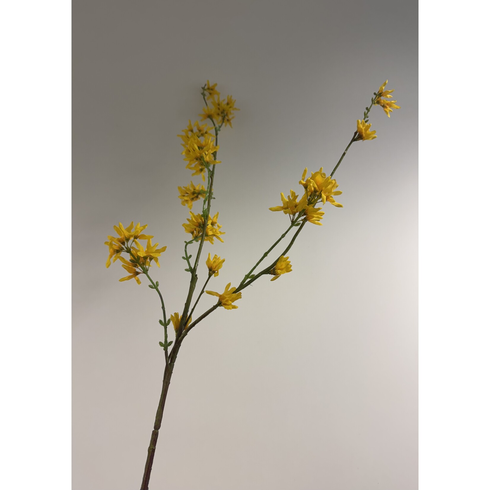 FORSYTHIA XL | YELLOW | 123 CM