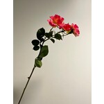 ROSE | PINK | 60 CM
