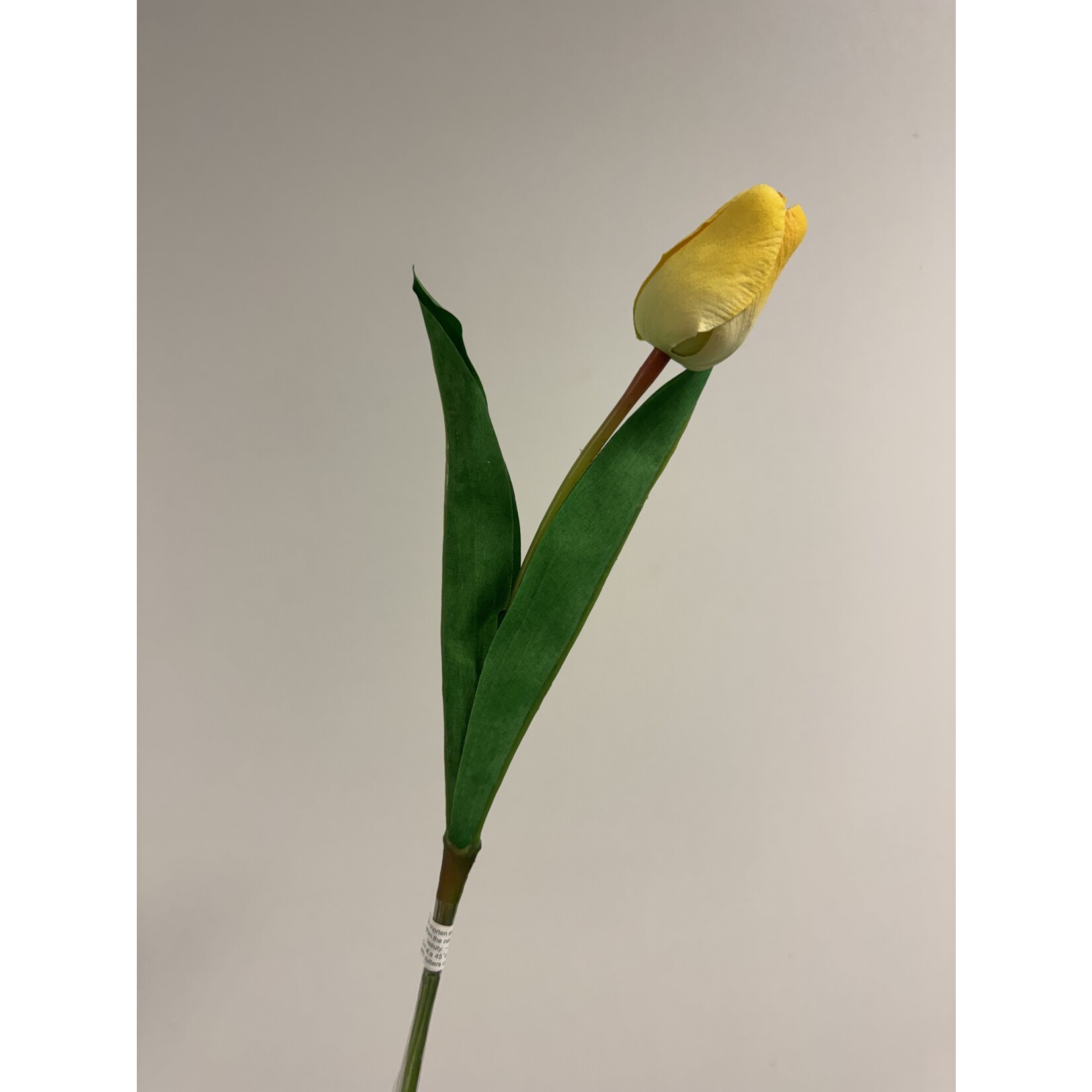 TULP APELDOORN | GEEL | 45 CM