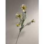COSMEA | CREME | 90 CM