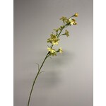 BRUIDSBLOEM | GEEL | 65 CM