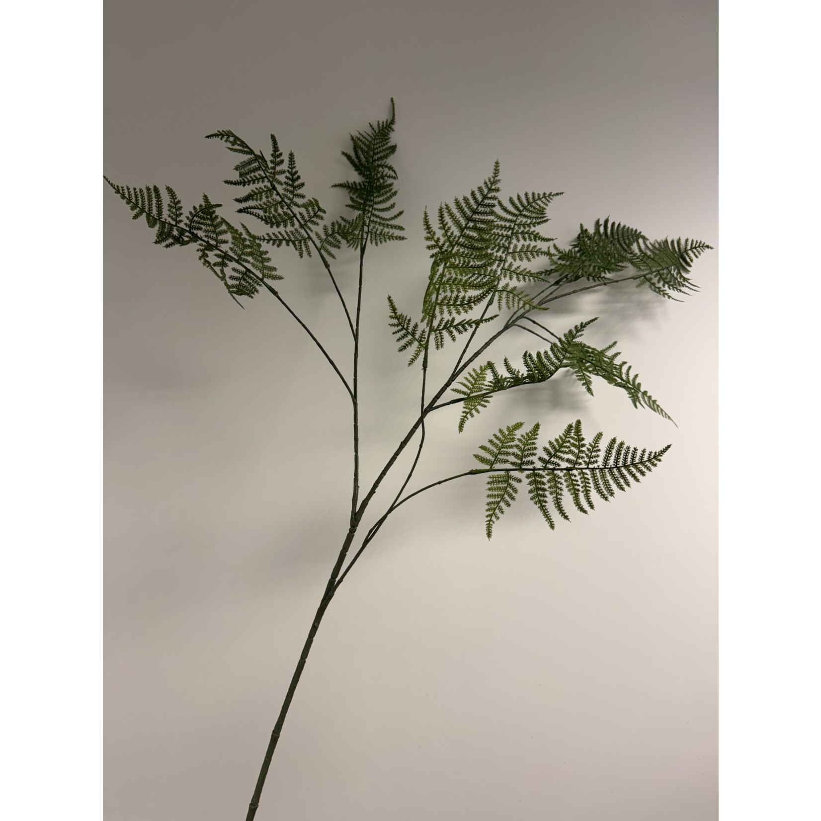VAREN TAK HERRENHAUS  | GROEN | 135 CM