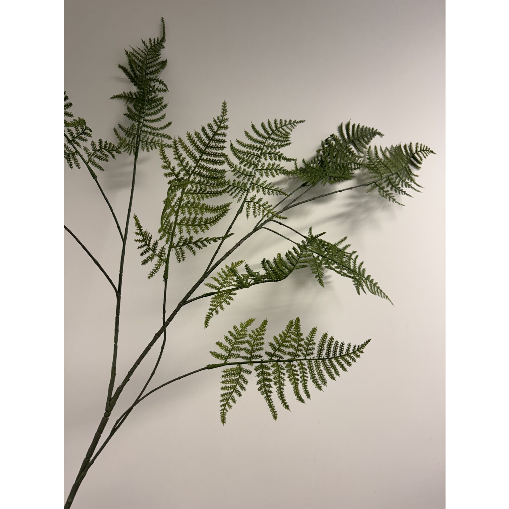 FERN BRANCH HERRENHAUS  | GREEN | 135 CM