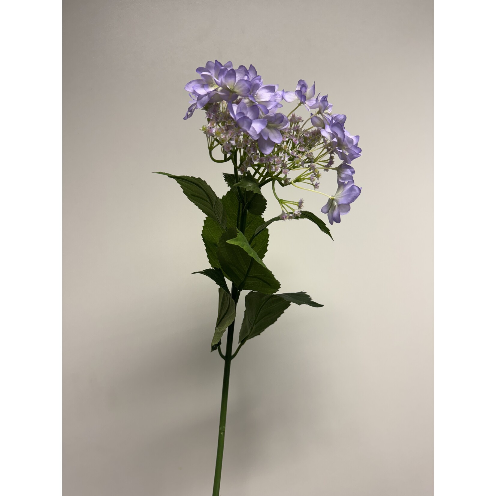 HYDRANGEA | LILAC | 65 CM