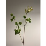 SERING TAK | WIT GROEN | 110 CM