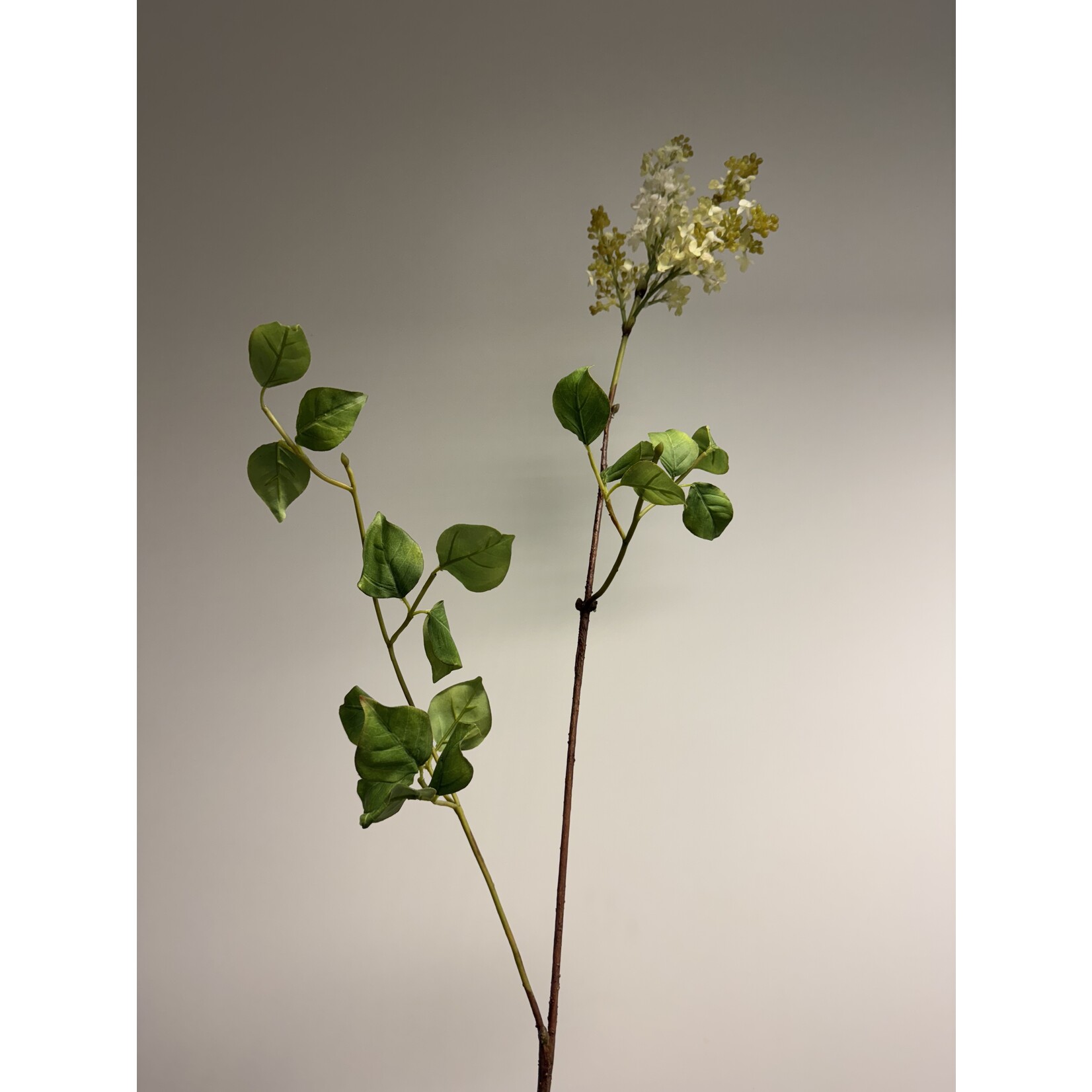 SERING TAK AGNES SMITH | WIT GROEN | 110 CM