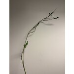 KRUL TAK MET BLAD | GROEN | 120 CM