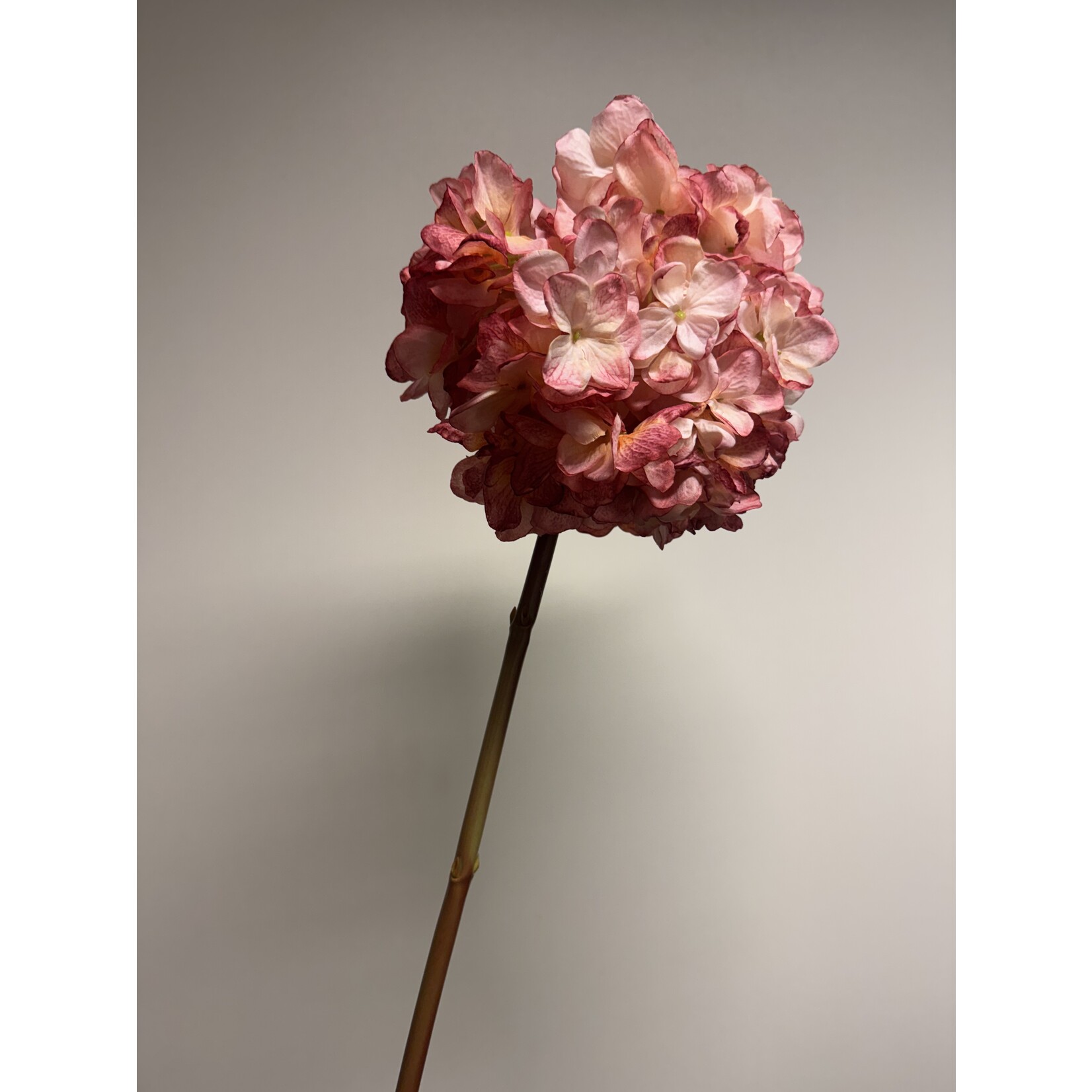 HYDRANGEA | LIGHT PINK | 83 CM