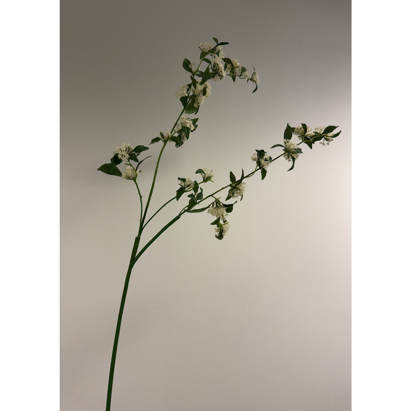 SPIREA | WIT | 115 CM