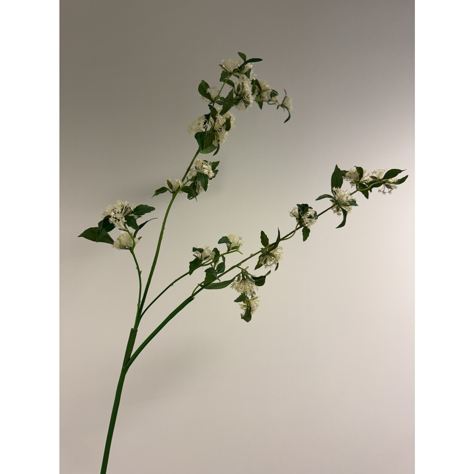 SPIREA | WIT | 115 CM