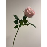 ROSE | LIGHT PINK | 60 CM
