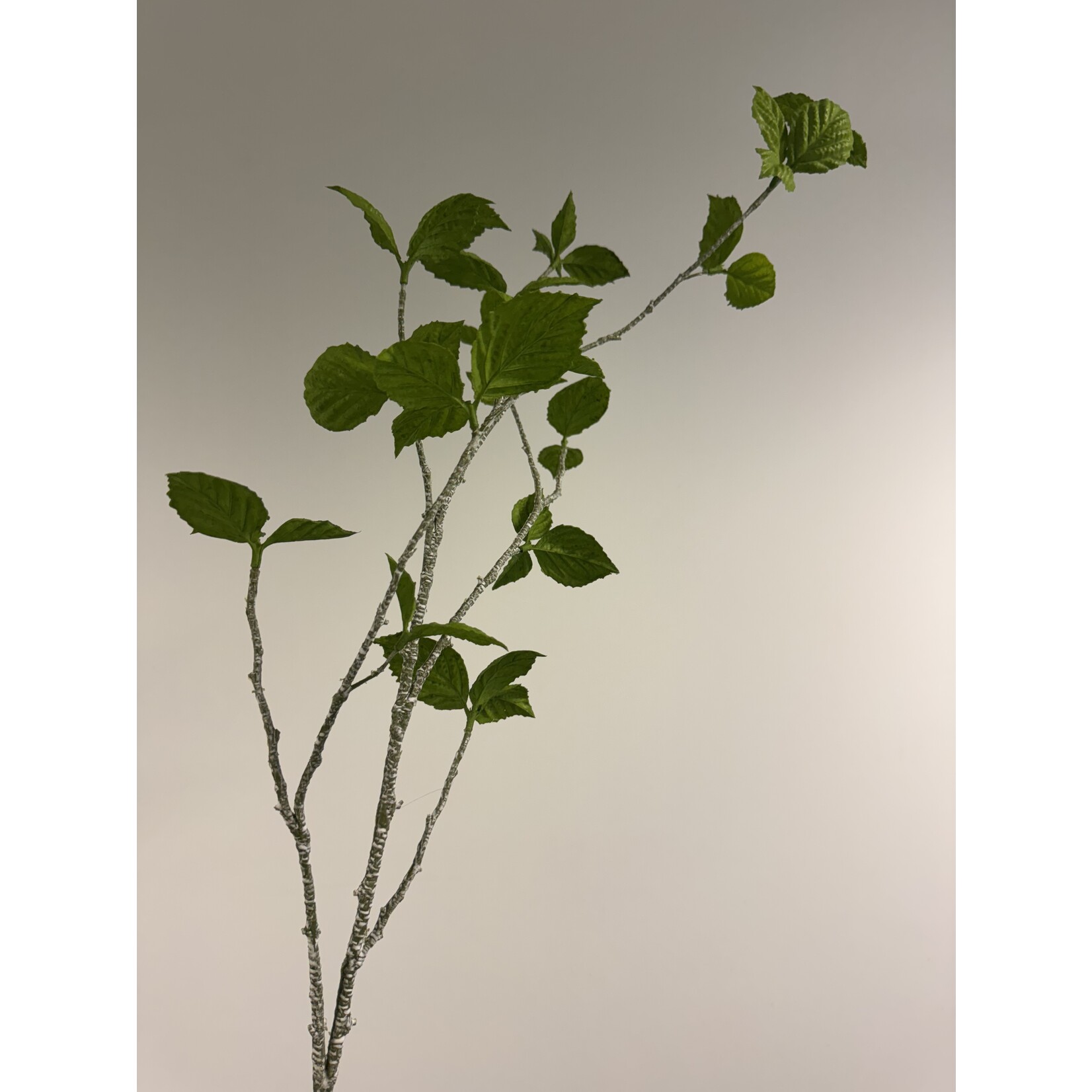 BLADTAK  | GROEN | 113 CM