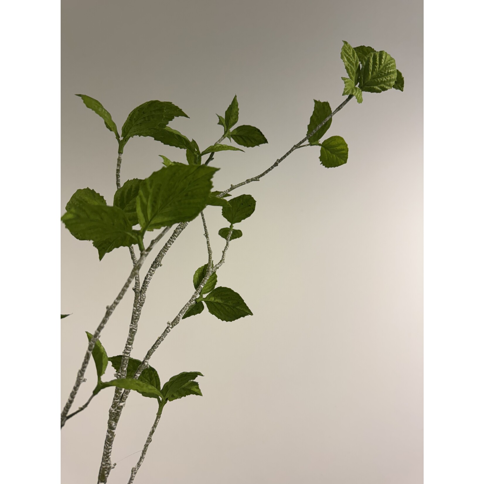 BLADTAK  | GROEN | 113 CM