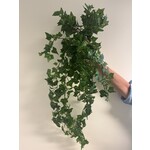 KLIMOP | GROEN| 70 CM