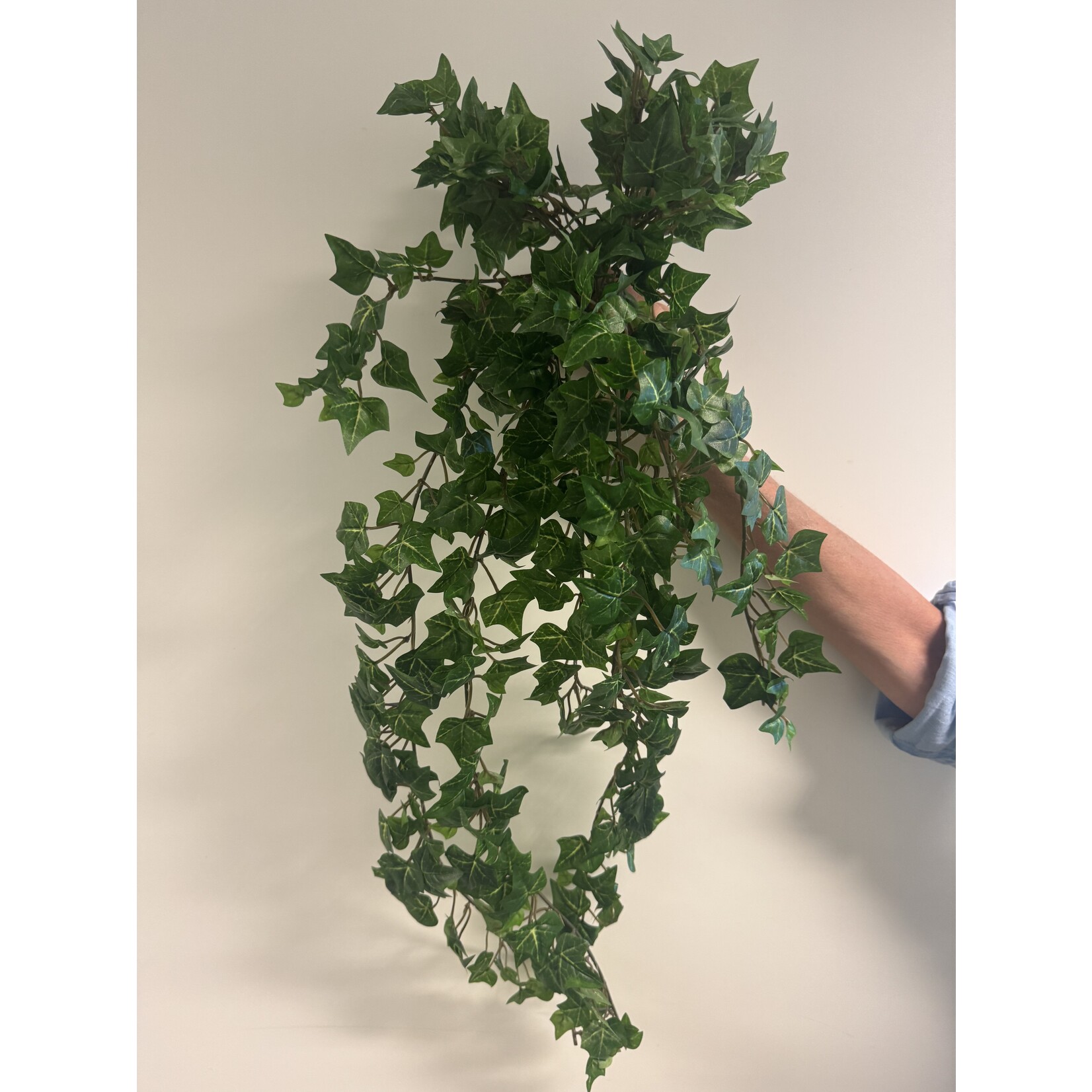 KLIMOP | GROEN| 70 CM