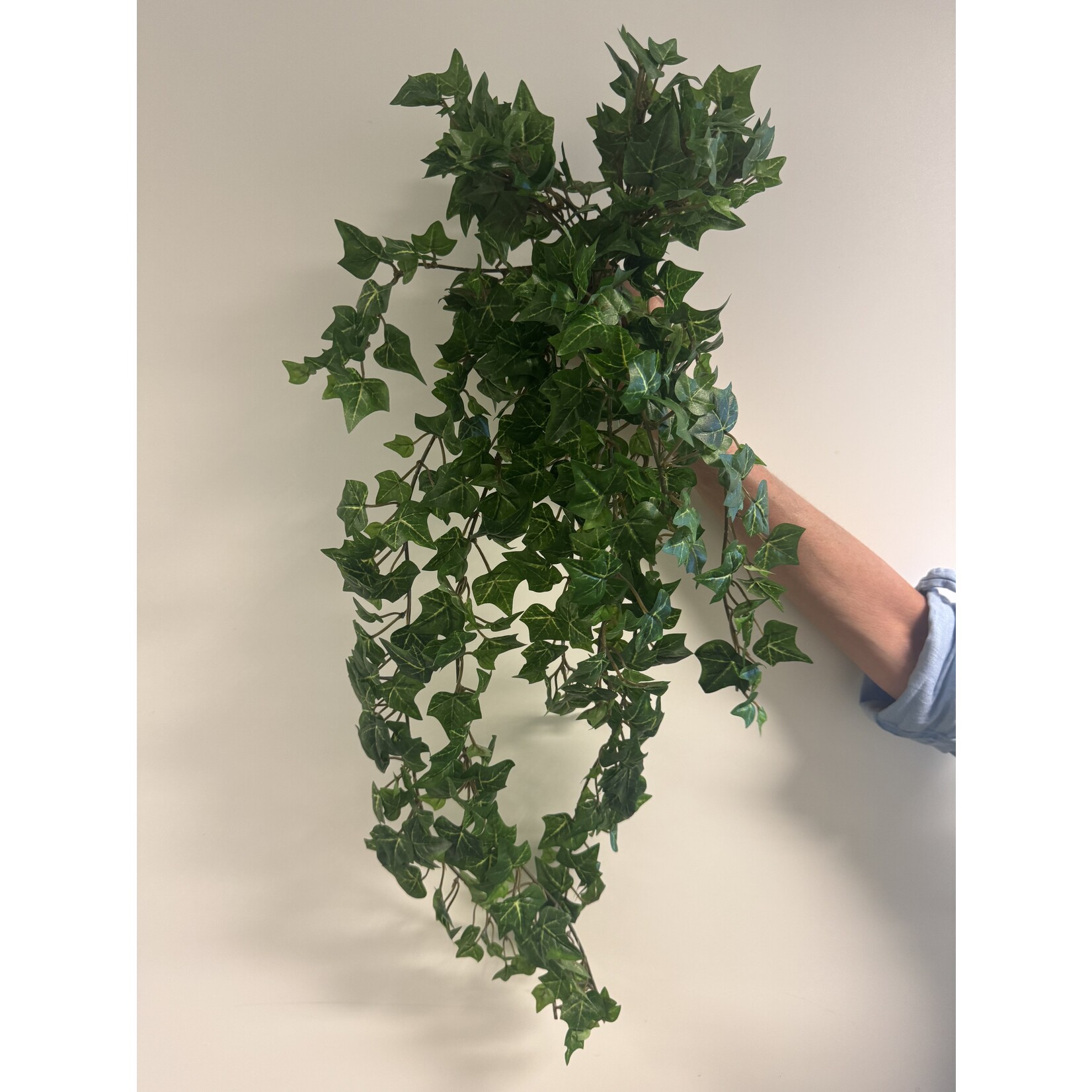 IVY BUSH | GREEN | 70 CM