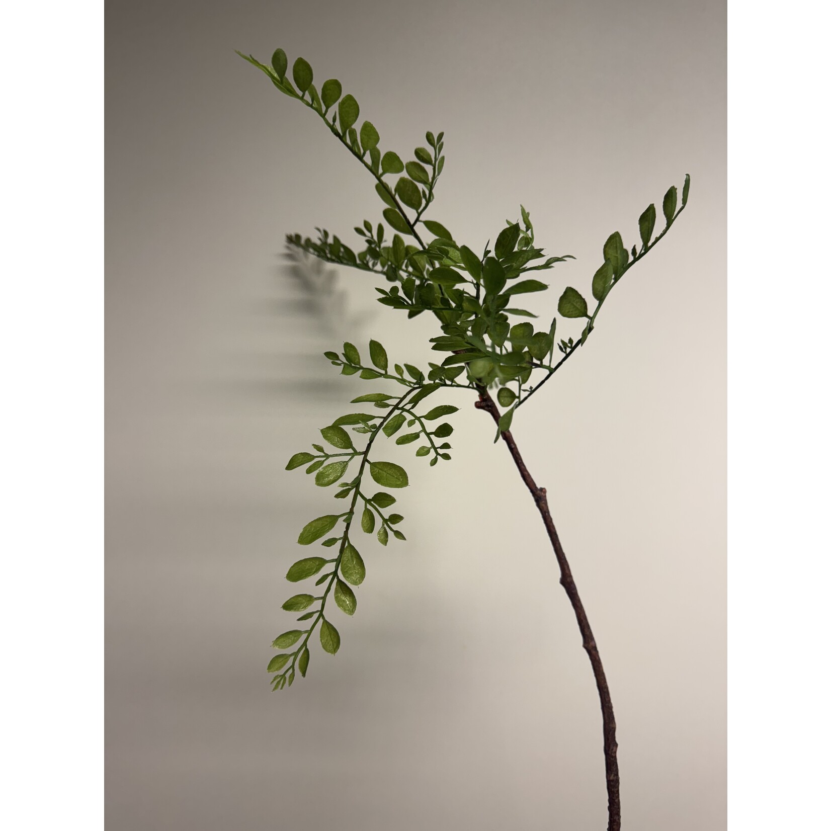 SEPHORA TAK | GROEN | 70 CM