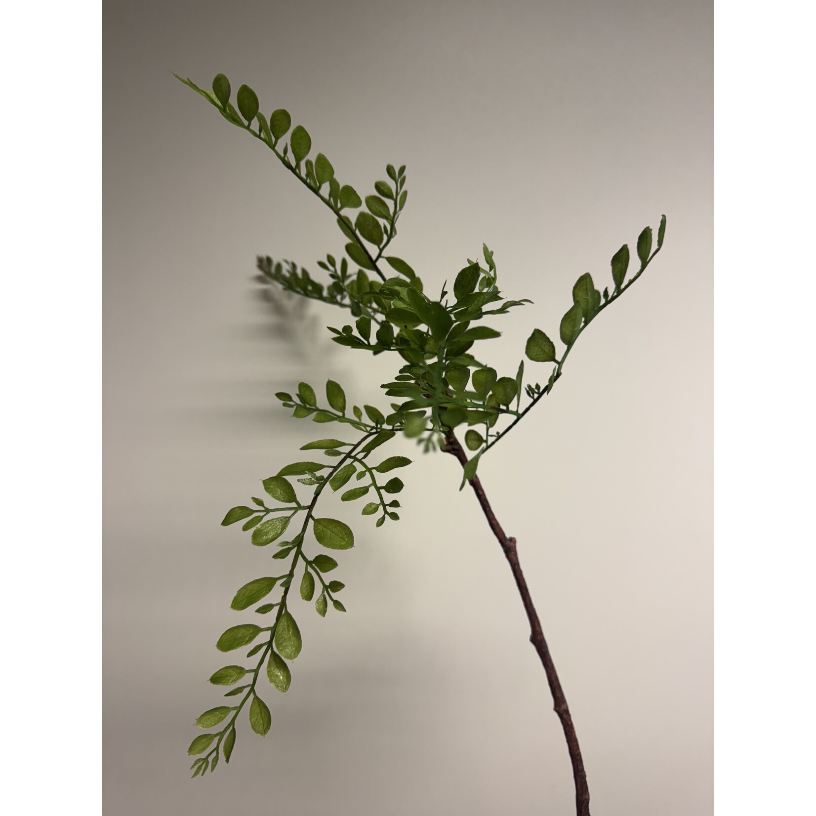 SEPHORA TAK | GROEN | 70 CM