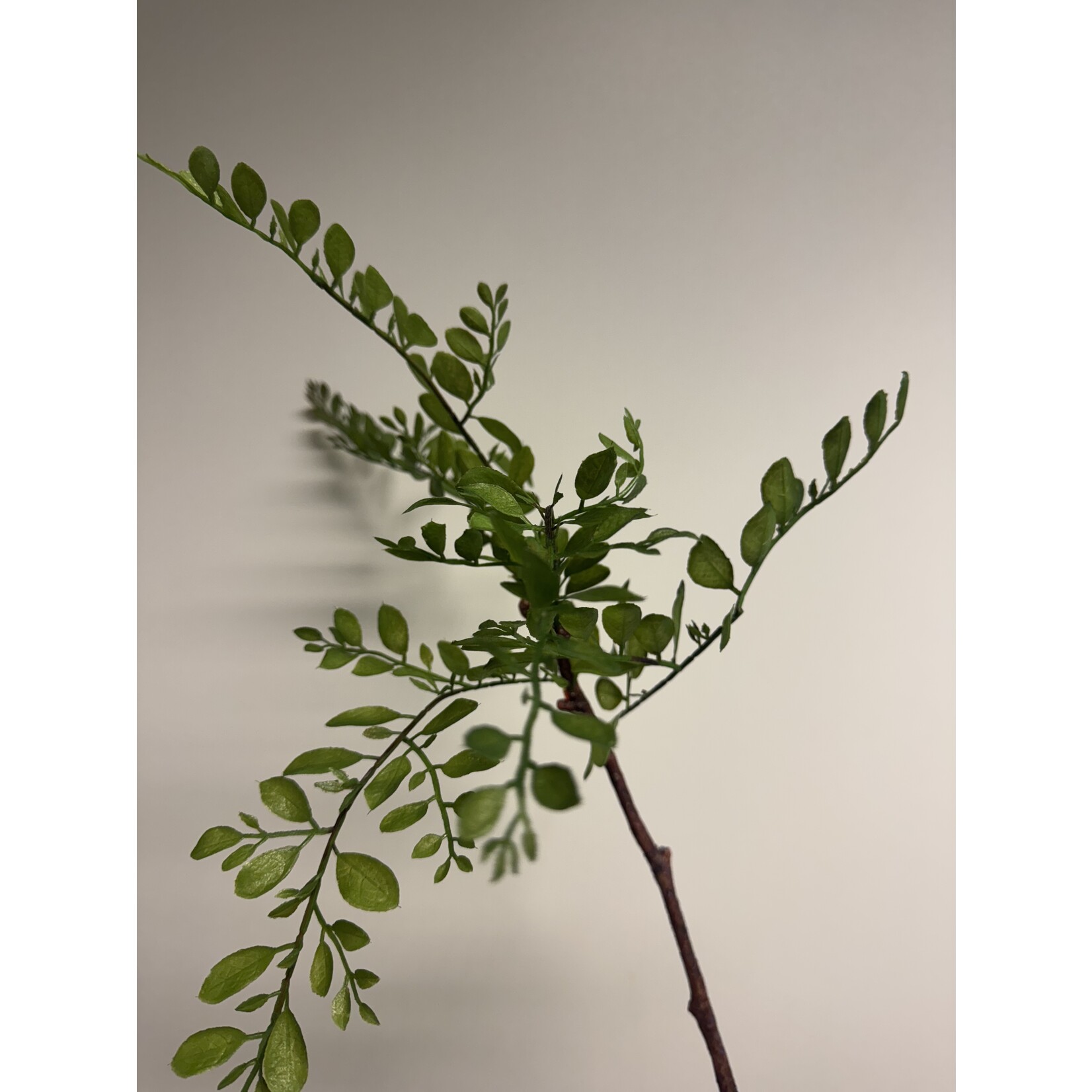 SEPHORA BRANCH | GREEN | 70  CM