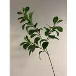 KROKODILLENTRANEN | GROEN | 65 CM
