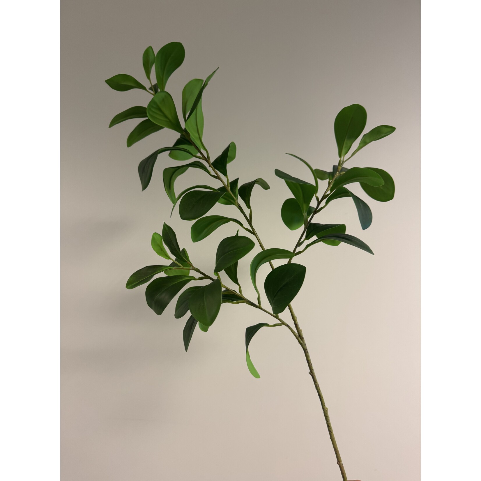 KROKODILLENTRANEN | GROEN | 65 CM