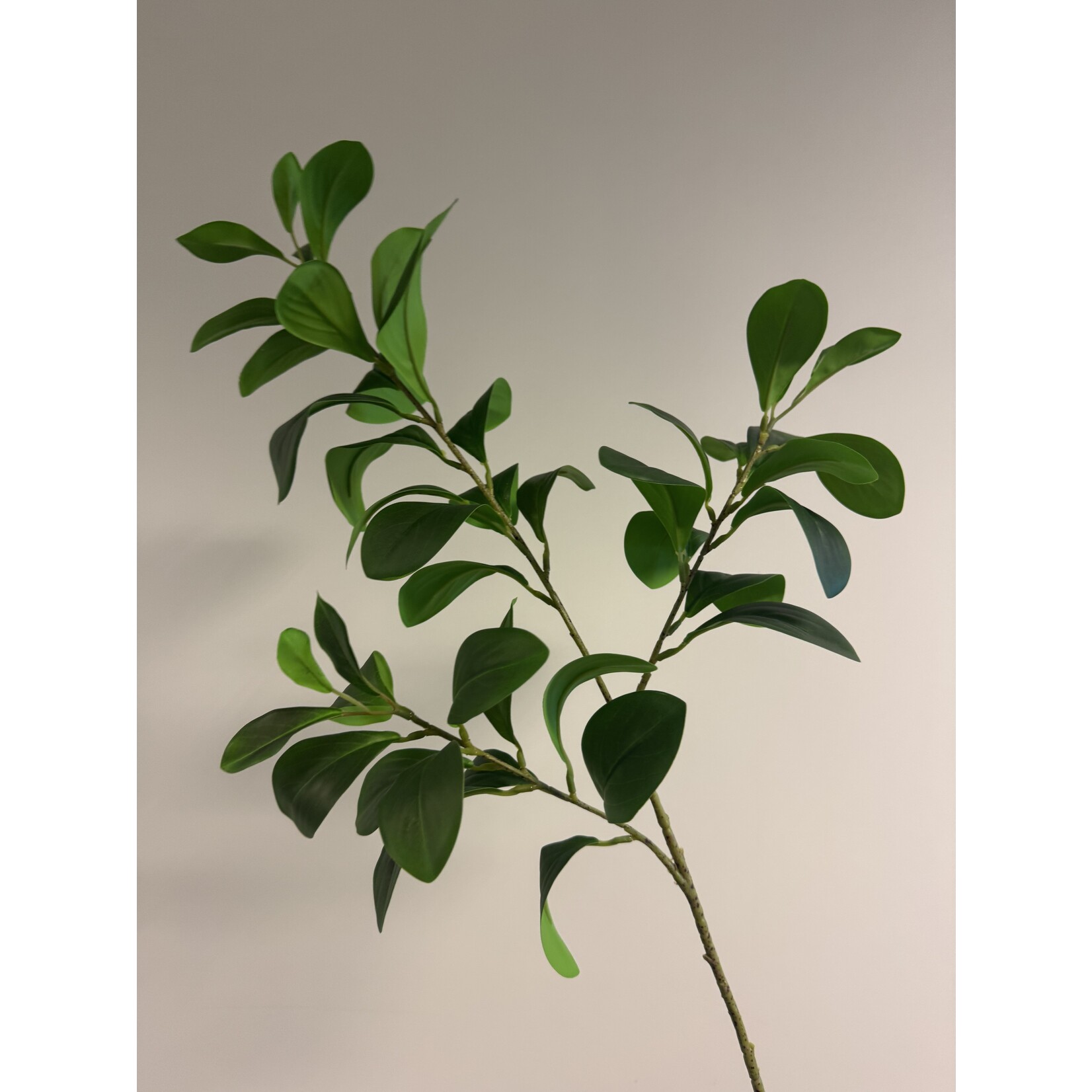 KROKODILLENTRANEN | GROEN | 65 CM