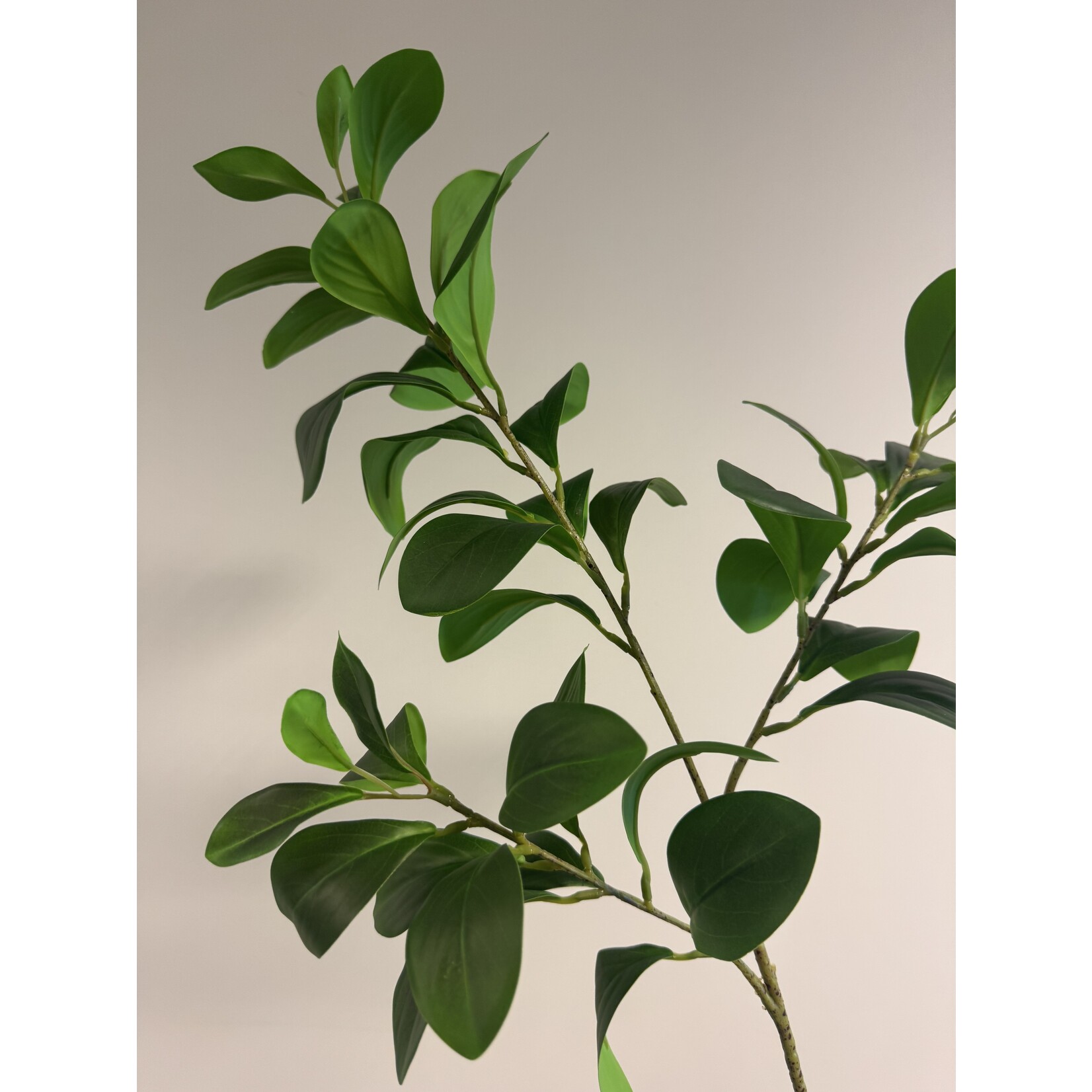 KROKODILLENTRANEN | GROEN | 65 CM